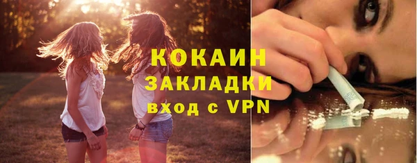 прущие грибы Медвежьегорск