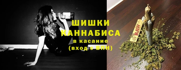 прущие грибы Медногорск