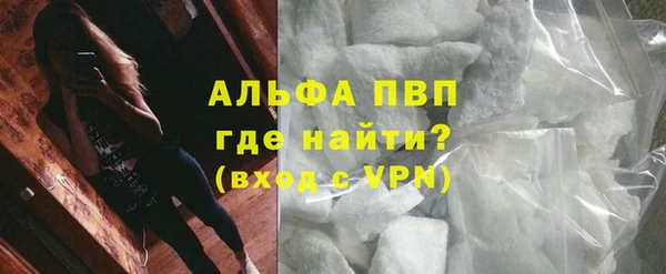 прущие грибы Медногорск