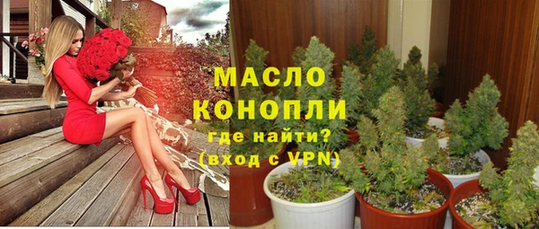 прущие грибы Медвежьегорск