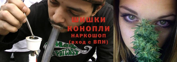 прущие грибы Медвежьегорск