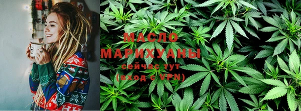 прущие грибы Медвежьегорск
