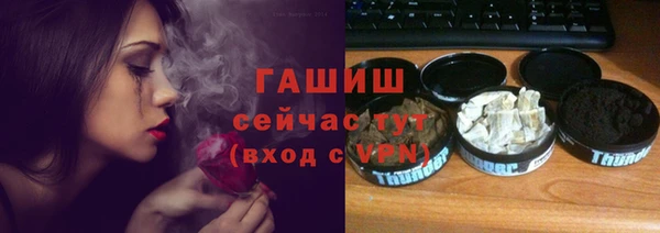 индика Мурманск