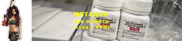 прущие грибы Медвежьегорск