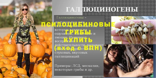 прущие грибы Медногорск