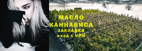 прущие грибы Медногорск