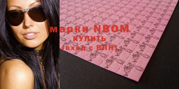 прущие грибы Медногорск
