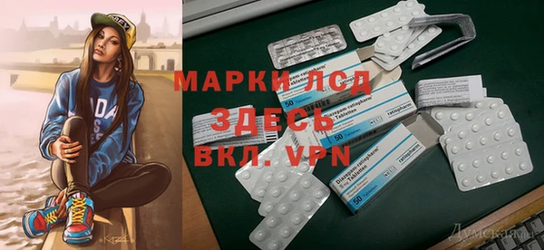 прущие грибы Медногорск