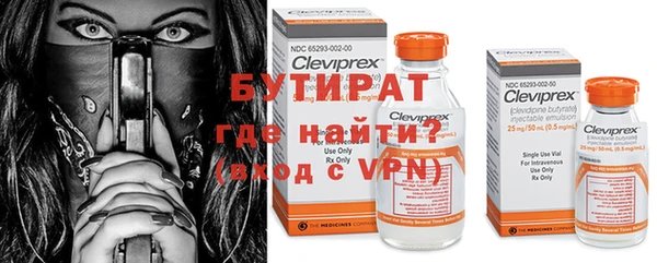 прущие грибы Медногорск