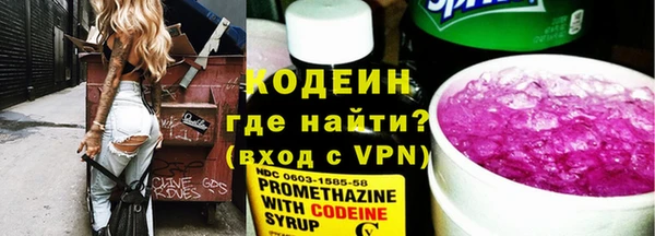 прущие грибы Медвежьегорск