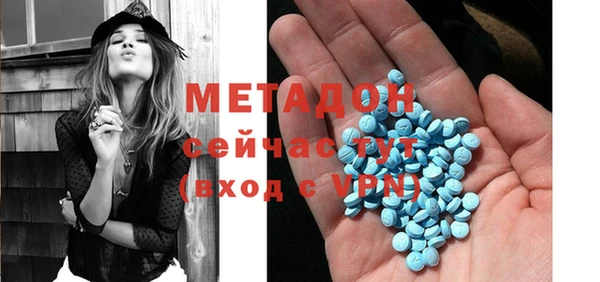 прущие грибы Медногорск