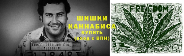 прущие грибы Медвежьегорск